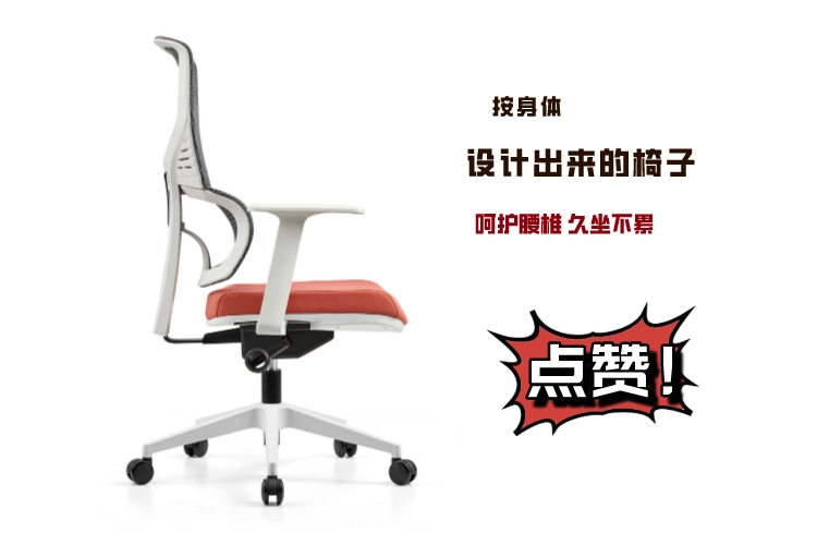 B669白框橙墊灰網(wǎng)背詳情圖3